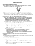 Notes Chapter 3 Biochemistry