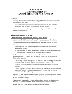 Unit 12 Chp 40 Animal Structure and Function Notes