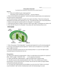 Photosynthesis Study Guide KEY