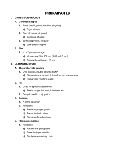 v. taxonomy of the prokaryotes