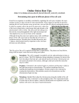 Online Onion Root Tips (http://www.biology.arizona.edu/cell_bio