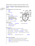 Cornell Notes: Cardiovascular System - CGW-Life-Science