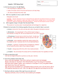 EOC Review 2015 answer key A