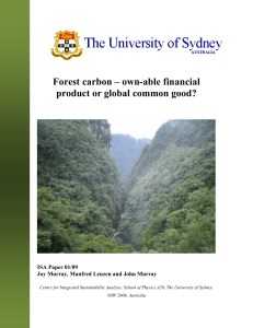 Carbon – environmental disaster or an exciting new financial product