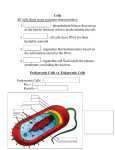 Biology Chapter 7 Cell Type Notes 11-17