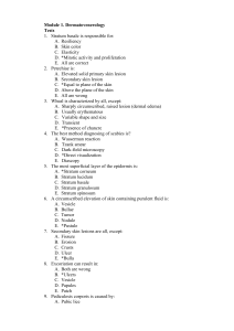 Dermatovrnrrology