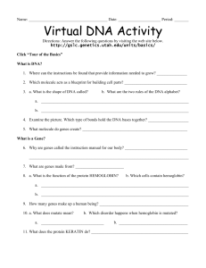 Virtual DNA Lab