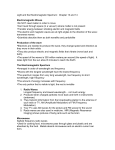 Light and the Electromagnetic Spectrum: Chapter 13 - PAMS