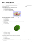 Biology I Classification Study Guide Biodiversity and Change