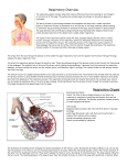 Respiratory Overview