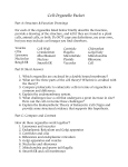 Cell Organelle Packet