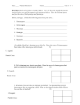 Punnett Square Worksheet 1