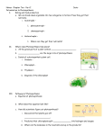 Photosynthesis