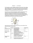 Biology 22 Corn Genetics