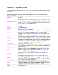 Glossary of Linguistic Terms (MSWord)