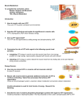 Endocrine System: Overview