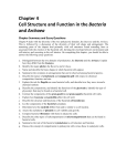Chapter 4: Cell Structure and Function in the Bacteria and Archaea