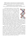 M-DNA: synthesis, chemical structure and physical properties