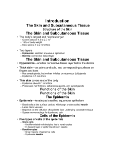 Introduction - Human Anatomy and Physiology