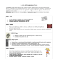 Levels of Organization Notes INB 2012