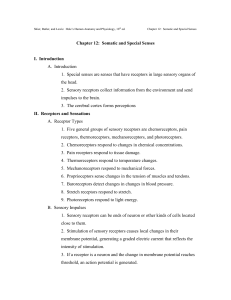 Shier, Butler, and Lewis: Hole`s Human Anatomy and Physiology