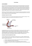 Further Biology - St. Mary`s Independent School