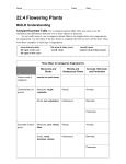 22.4 Flowering Plants