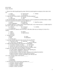 SI 10/19/08 Exam 2 Review 1. Which of the following phylogenetic