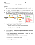 Chapter 6 Notes – Photosynthesis