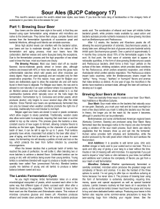 BJCP_Notes_-_January_2010_-_Sour_Ales
