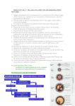 Human Life Cycle 1