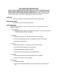 cell structure and function