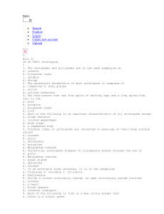 Ch 28 Test- Arthropods