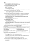 IBES study guide whole syllabus (2)