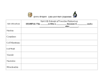 Chapter 3 Project: Cells and their Organelles