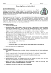 Plant vs. Animal Cell Lab