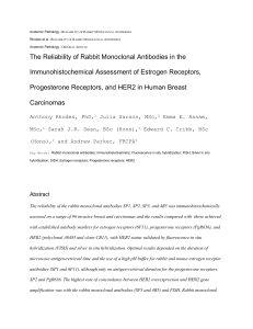 Reliability of Rabbit Monoclonal Antibodies