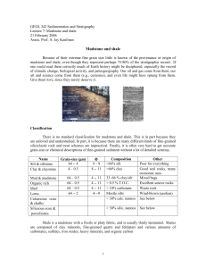 Mudstone and shale