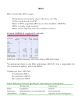 RNA and Translation notes