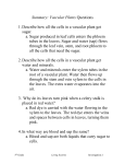 Summary: Vascular Plants Questions Describe how all the cells in a