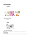 7echap27guidedreading