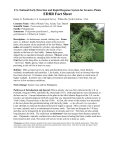 Persicaria perfoliata - SE-EPPC