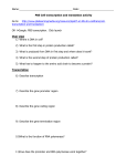 DNA transcription and translation PBS