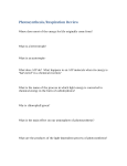 Photosynthesis and Respiration Test Review