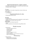 Departmentalization by simple numbers