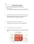 WS What is an Organ (animal only) (answers).