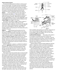 Human Excretory System The human excretory system functions to