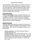 Control of the Cell Cycle - Southington Public Schools