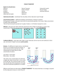 PASSIVE TRANSPORT Words You Should Know: Diffusion Osmosis