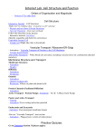 Internet Lab: Cell Structure and Function